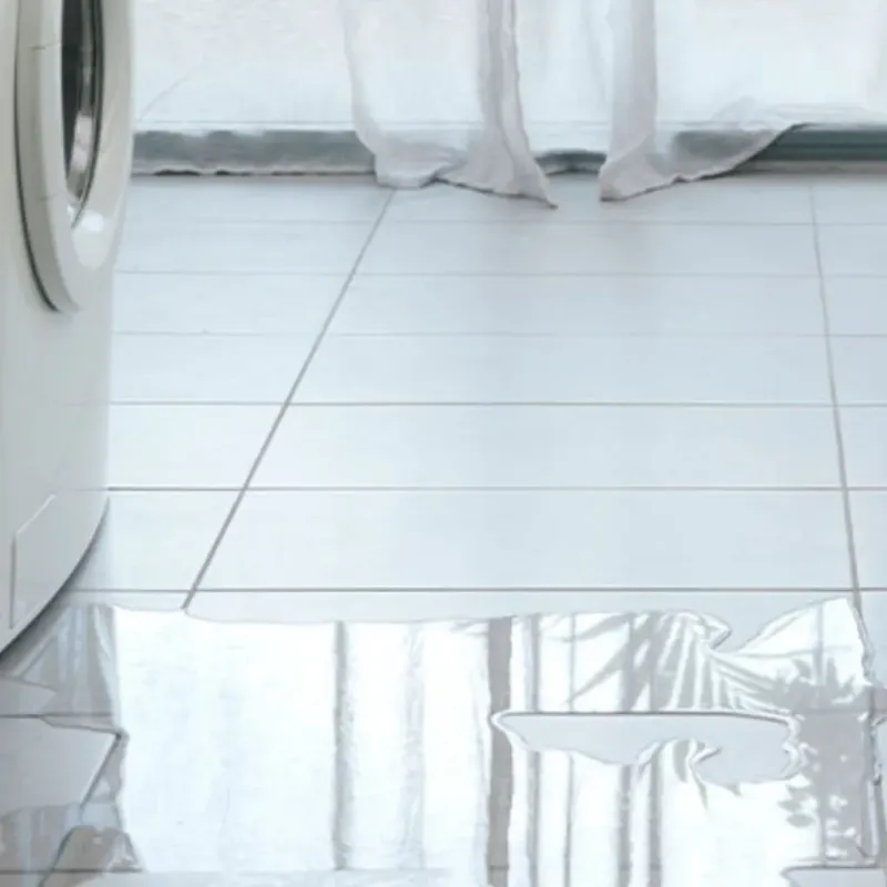 Appliance Leak Cleanup in Princeton, IN
