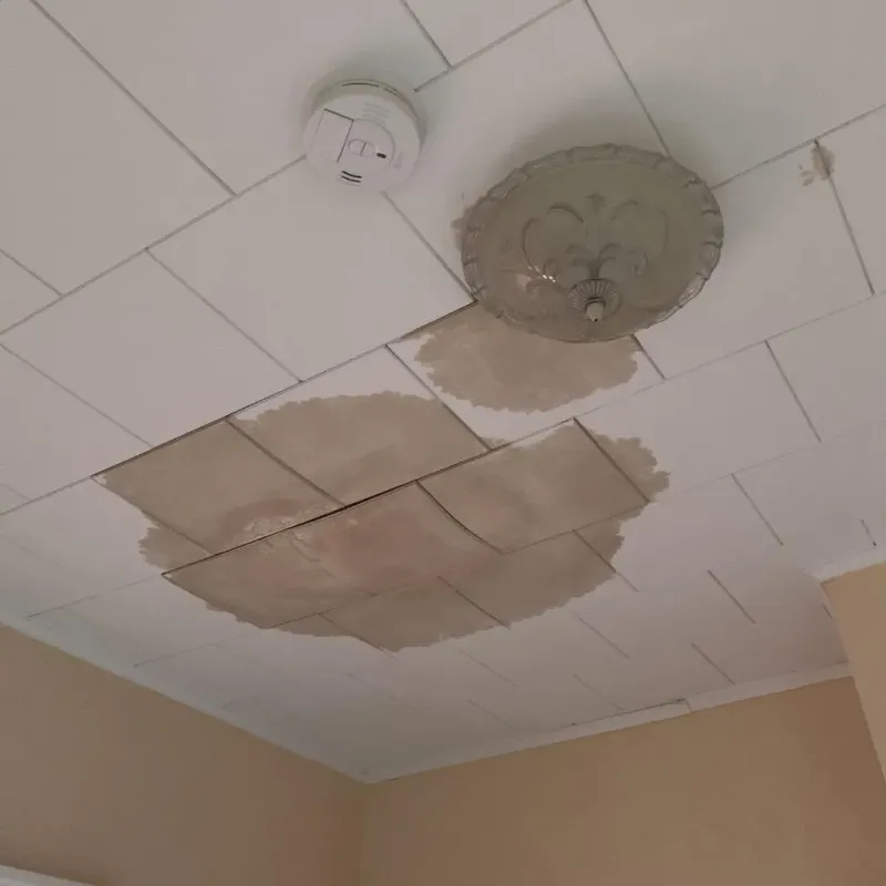 Ceiling Water Damage Repair in Princeton, IN