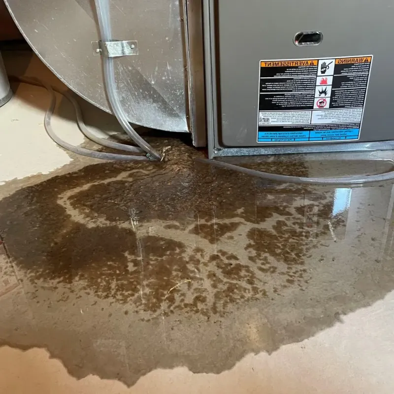 Pipe Burst and Leak Restoration in Princeton, IN