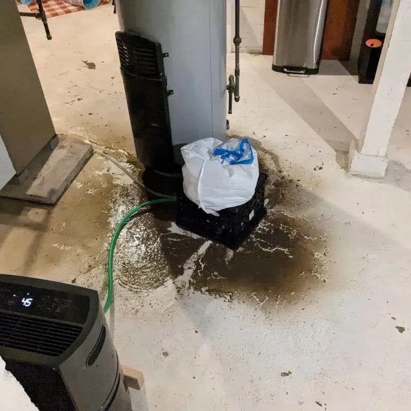 Sewage Backup Cleanup Service in Princeton, IN